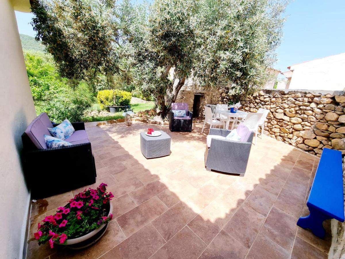 Stazzo San Teodoro La Quercia Piscina Condivisaアパートメント エクステリア 写真