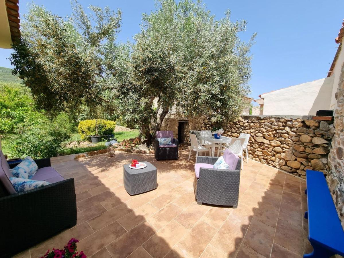 Stazzo San Teodoro La Quercia Piscina Condivisaアパートメント エクステリア 写真