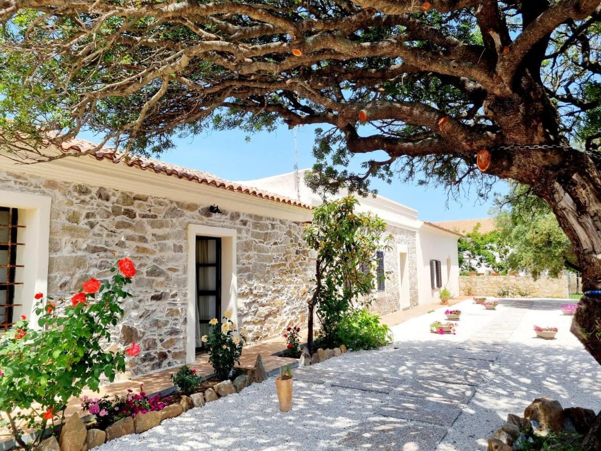 Stazzo San Teodoro La Quercia Piscina Condivisaアパートメント エクステリア 写真